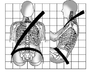 GMC Terrain. How to Wear Seat Belts Properly